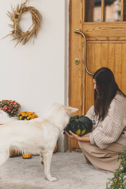 Femme en pull tricoté tenant citrouille et jouant avec chien mignon à l'entrée de la maison décorée de chrysanthèmes d'automne et bruyère. Propriétaire jouer avec animal de compagnie - Photo, image