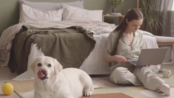 Junge Frau in bequemer Homewear sitzt auf dem Fußboden im Schlafzimmer und ihr Hund arbeitet am Laptop - Filmmaterial, Video