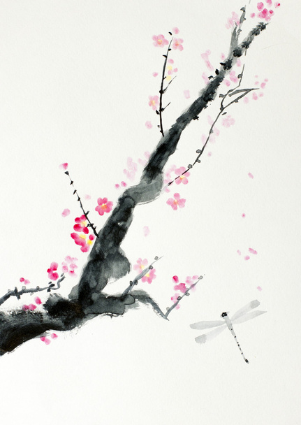 branch of cherry blossoms - Foto, afbeelding