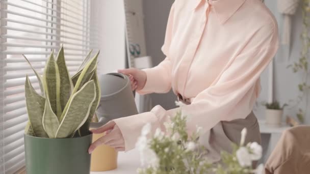 Mujer joven caucásica en ropa casual inteligente regar plantas en maceta en el alféizar de la ventana en la oficina - Imágenes, Vídeo