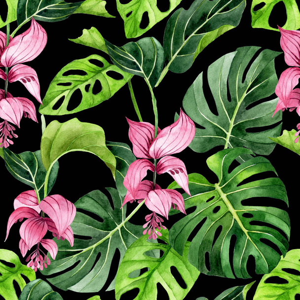 熱帯の花と葉が付いている水彩の継ぎ目が無いパターン. 暗い背景にピンクの花と緑の葉メディニラカフ - 写真・画像