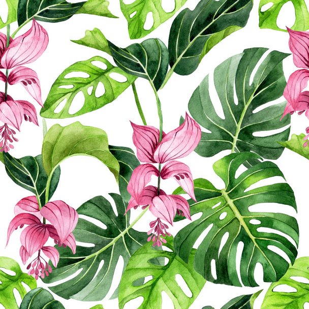 watercolor seamless pattern with tropical flowers and leaves. pink flowers and green leaves of medinilla magnifica on white background - Photo, Image