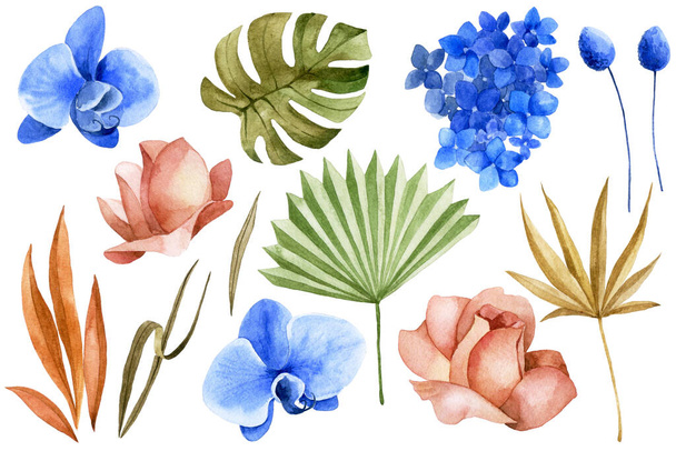 dibujo acuarela, conjunto de hojas tropicales secas y flores en estilo boho. flores secas, hojas de palma, rosas, orquídea rosa y azul - Foto, imagen