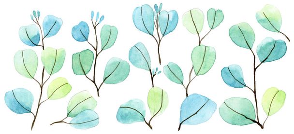 akvarel set s barevnými listy eukalyptu. vzdušný jemný tisk na bílém pozadí - Fotografie, Obrázek