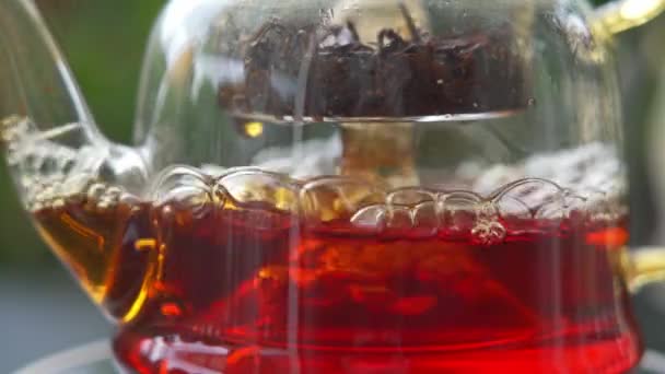 Zvýšené zpomalení vaření černého čaje ve skleněné konvici na elektrickém sporáku v zahradě - Záběry, video