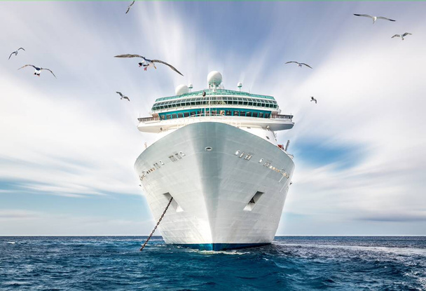 Kreuzfahrtschiff im blauen Ozean mit Möwe und blauem Himmel - Foto, Bild