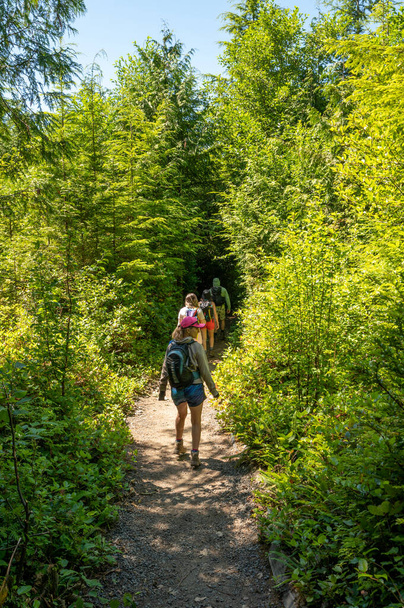 Туристи на Ші-Біч стежки в Олімпійському національному парку поблизу затоки Ней, Вашингтон в сонячний літній день. - Фото, зображення