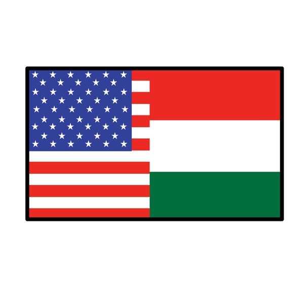 半分のアメリカ人およびハンガリーの旗 - ベクター画像