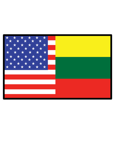 amerikanische und litauische Flaggen - Vektor, Bild