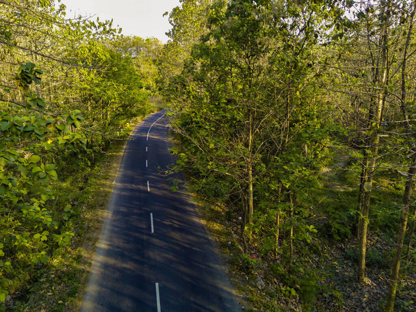 Eine von einer Drohne aufgenommene Luftaufnahme zeigt eine Serpentinenstraße, die sich anmutig ihren Weg durch die trockenen Wälder von Kemlagi, Mojokerto, Indonesien, bahnt. Der mäandrierende Weg steht in schönem Kontrast zu - Foto, Bild