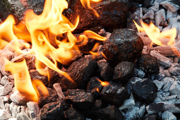 burning fire in a dark background, burning wood in the fireplace. - Photo, Image