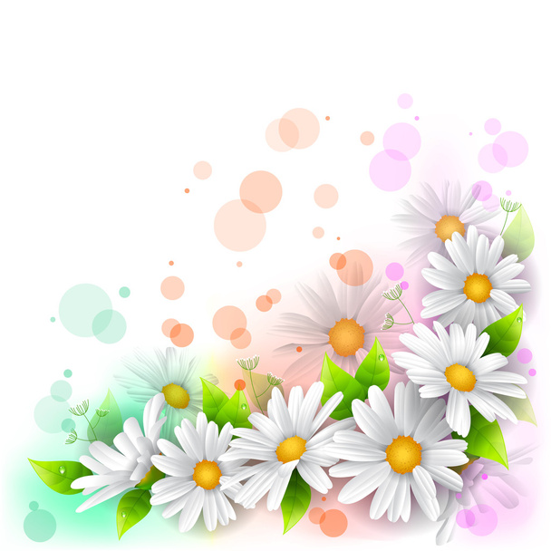 Fondo de flores
 - Vector, imagen