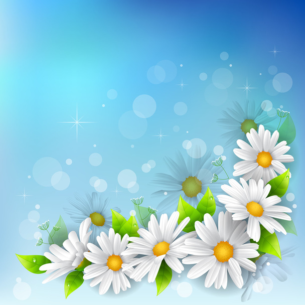 λουλούδι φόντο - Διάνυσμα, εικόνα