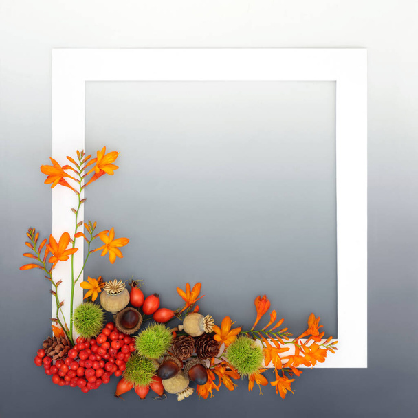 Autumn Thanksgiving Samhain nature background frame design with crocosmia lily flowers, berry fruit and nuts with white frame on gradient gray. Greeting card, menu, invitation, label design. - Photo, Image