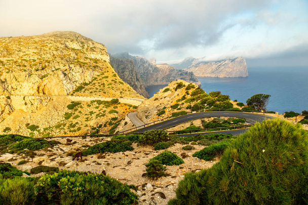 A caminho do destaque na bela Ilha Baleares Maiorca - Cap de Formentor - Espanha - Foto, Imagem