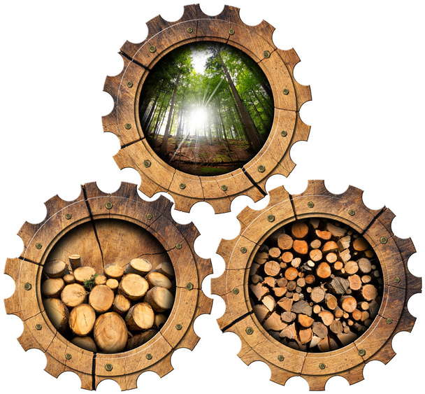 Fűrészáru az ipar - fa fogaskerekek - Fotó, kép