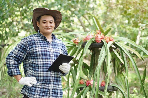 Красивый азиатский мужчина садовник держит умную табличку, чтобы проверить рост и растения заболеваний в саду фруктов дракона. Концепция, умные фермеры ищут информацию для развития сельскохозяйственных культур         - Фото, изображение