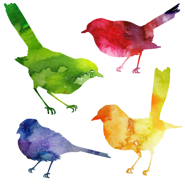 Birds Silhouette. watercolor painting. - Vector, Image