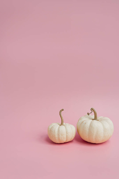 Schöne dekorative Kürbisse auf pastellrosa Hintergrund. Herbstsaisonkonzept - Foto, Bild