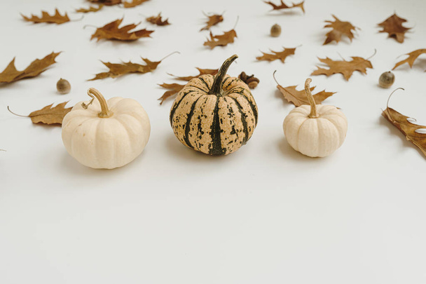 Autumn fall composition. Dried oak tree leaves, acorns and pumpkin on white background with mockup copy space - Photo, Image