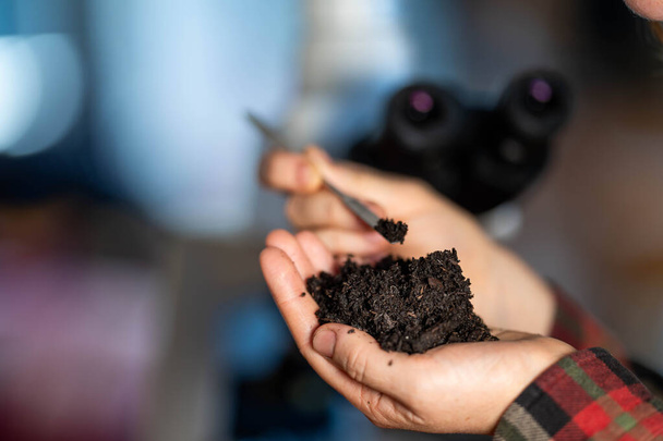 Talajt tartó női gazda, talajvizsgálatokat végez az otthoni laboratóriumában. A talaj életének és egészségének vizsgálata Ausztráliában - Fotó, kép