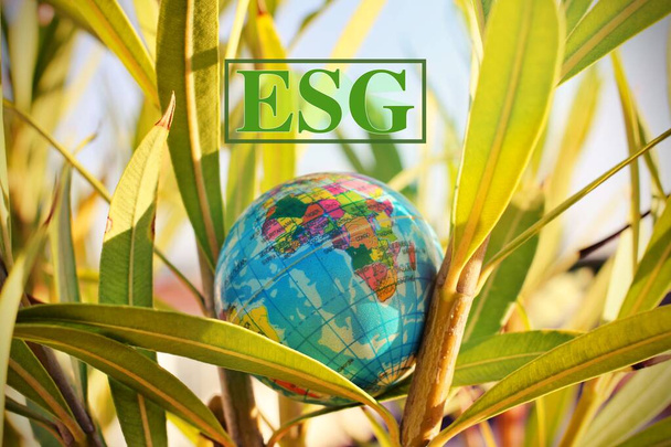 Concepto de medio ambiente, social y gobernanza.words ESG en un bloque forestal Es una idea para el desarrollo organizacional sostenible. tener en cuenta el medio ambiente, la sociedad y la gobernanza empresarial - Foto, Imagen
