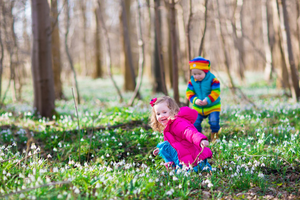 Τα παιδιά που παίζουν σε ένα δάσος άνοιξη - Φωτογραφία, εικόνα