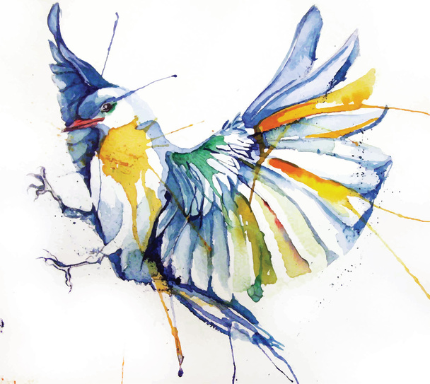 Watercolor style  bird. - Vektori, kuva