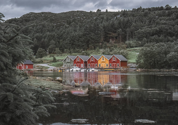 Czerwone i żółte domy na brzegu fiordu w Norwegii - Zdjęcie, obraz