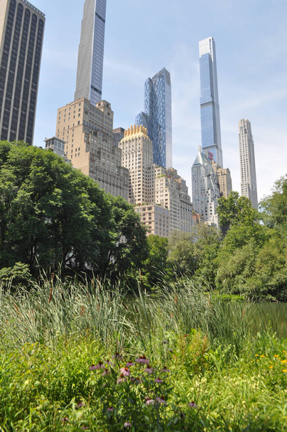 Центральный парк в Нью-Йорке, США - Фото, изображение