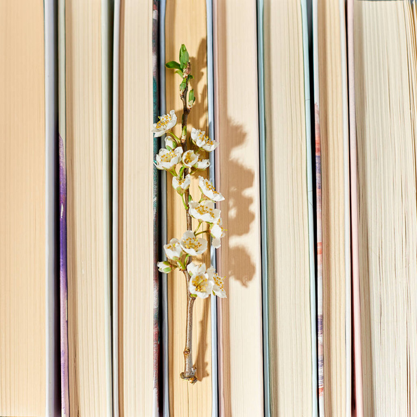 Bücherstapel mit Zweigblumen, Welttag des Buches, Wissens- und Kreativkonzept, Frühling, Sommerstimmung, Kopierraum, Draufsicht. - Foto, Bild