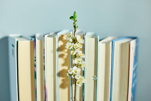 Στοίβα βιβλίων με άνθη κλαδιού, Παγκόσμια ημέρα βιβλίου, αντίληψη γνώσης και δημιουργικότητας, άνοιξη, καλοκαιρινή διάθεση, χώρος αντιγραφής, κορυφαία άποψη. - Φωτογραφία, εικόνα