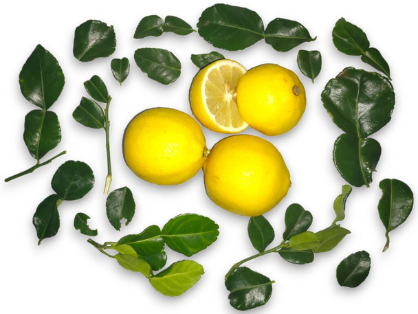 Limones amarillos entre hojas verdes aisladas sobre fondo blanco - Foto, imagen