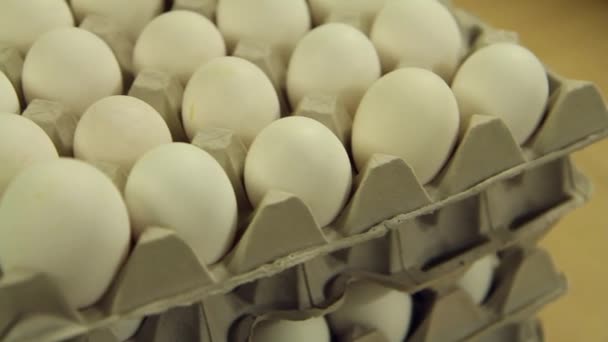 po zbliżeniu ujęcia dużo białych jaj w papierowych tacach ułożonych w wieży jeden na drugim - Materiał filmowy, wideo
