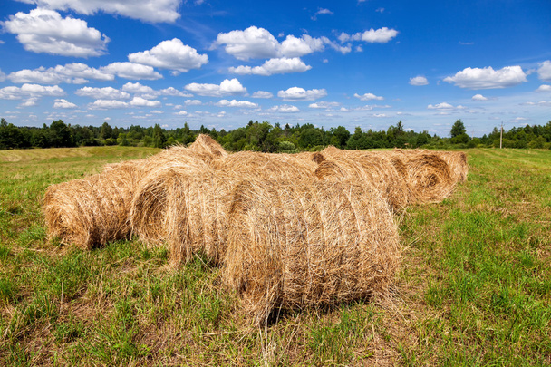 Balíky sena a slámy na zemědělské půdě pod modrou oblohou v letní den - Fotografie, Obrázek