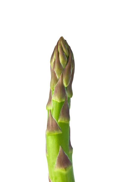 Asparagus - 写真・画像