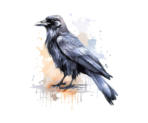 Crow aquarel. Ontwerp van vectorillustraties - Vector, afbeelding