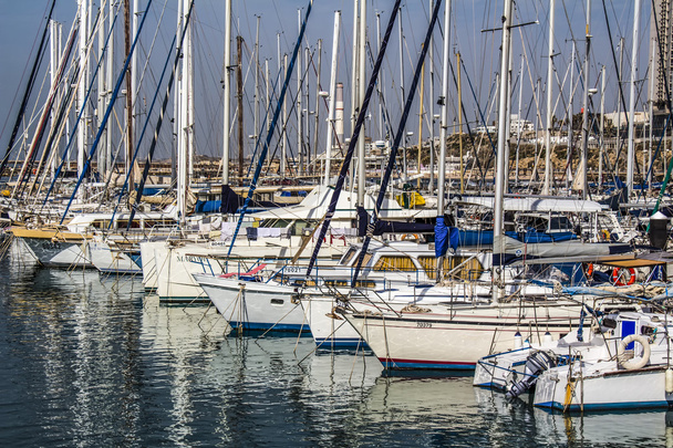 Port with yachts for rent. - Photo, Image