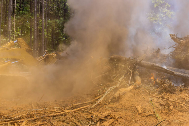 Dans les chantiers de construction, les arbres déracinés sont brûlés dans le cadre du processus de préparation des terres - Photo, image