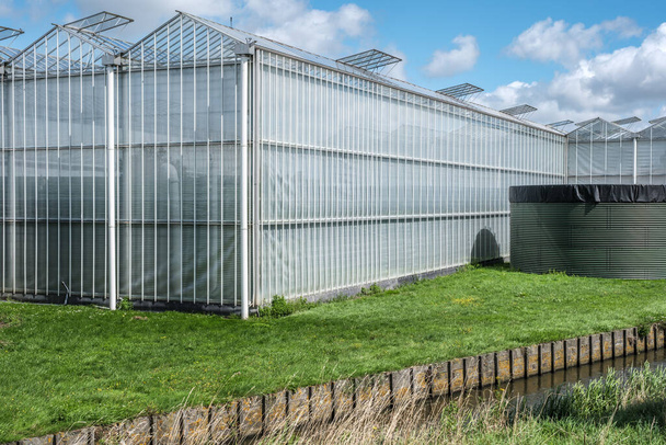 Perspectief uitzicht op een moderne industriële kas met regenwaterwinningssysteem in het Westland. Westland is een regio in Nederland. - Foto, afbeelding