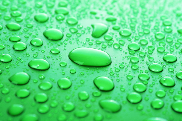 Green water drops background - 写真・画像