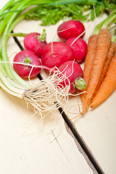 raw root vegetable  - Photo, Image