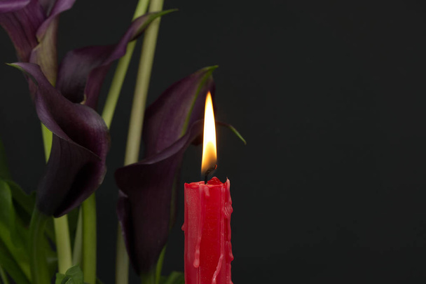 Płomień świecy i purpurowe przegrody lilii Calla (Zantedeschia) oświetlone światłem świec w ciemności z wolną przestrzenią do kopiowania - Zdjęcie, obraz