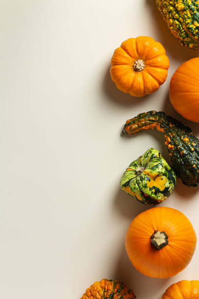 Autumn fall thanksgiving day composition with decorative pumpkins. Flat lay, view from above, still life seasonal background for greeting card, copy space - Photo, Image