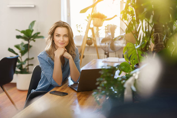 Freelance profissional trabalhando em seu laptop e telefone em um quarto cheio de plantas ensolarado, vestindo uma camisa azul e olhando encantador - Foto, Imagem