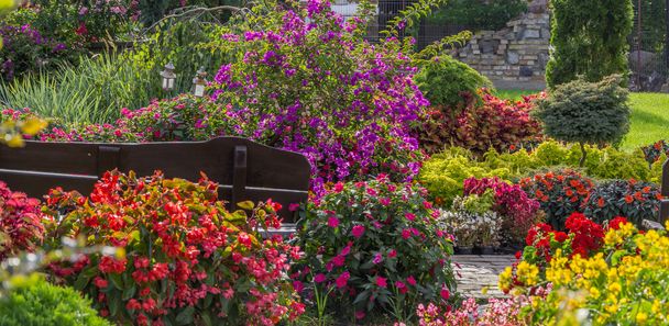 色鮮やかな庭園 - 写真・画像