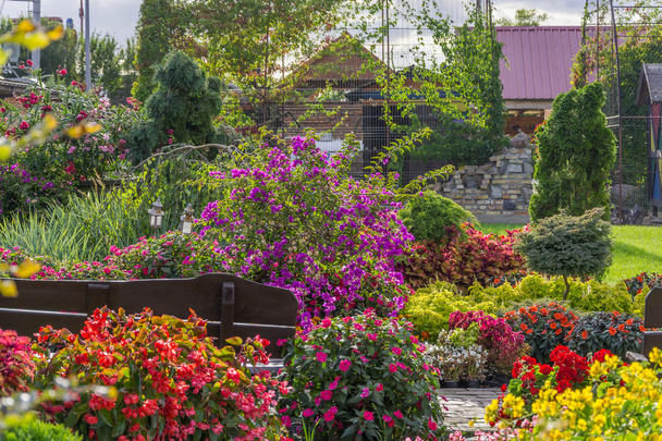 renkli Bahçe - Fotoğraf, Görsel