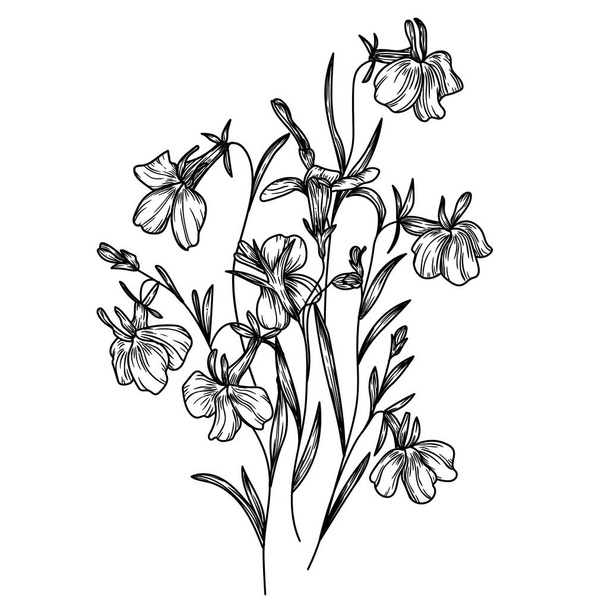  Ilustração vetorial de flores de lobelia em estilo gravura - Vetor, Imagem