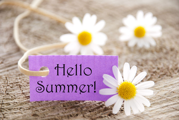 Purple Label With Hello Summer And Marguerite Blossoms - Φωτογραφία, εικόνα