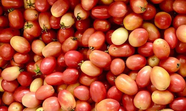Bir yığın kırmızı ve sarı domatesin fotoğrafı. Gül hippileri kırmızı ve sarıdır.. - Fotoğraf, Görsel